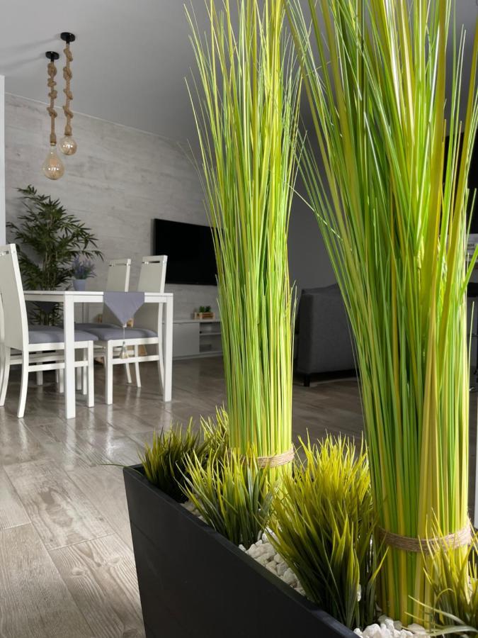 Apartamento Banferra Херес де ла Фронтера Екстериор снимка